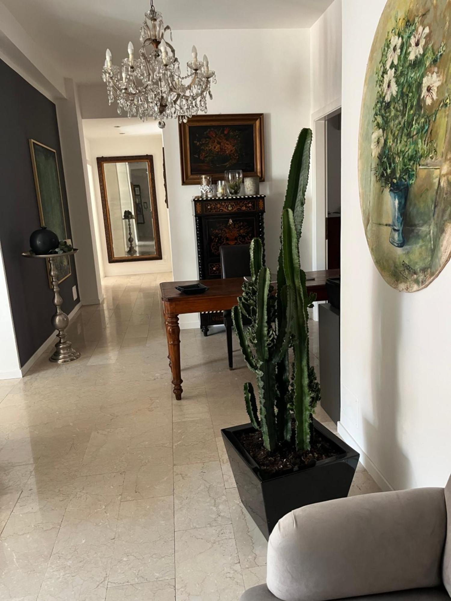 مبيت وإفطار فيرونا Fleur Blanche المظهر الخارجي الصورة