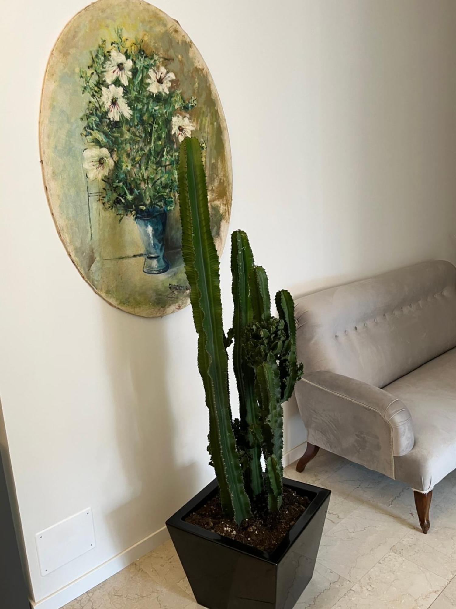 مبيت وإفطار فيرونا Fleur Blanche المظهر الخارجي الصورة