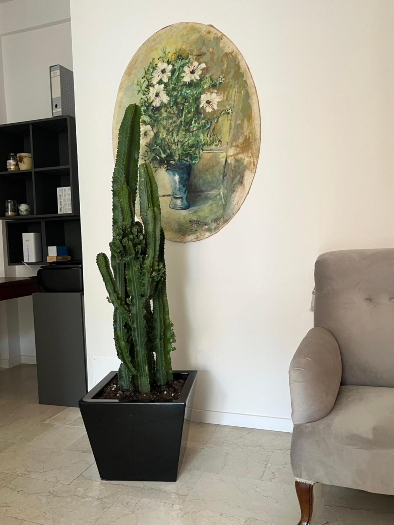 مبيت وإفطار فيرونا Fleur Blanche المظهر الخارجي الصورة