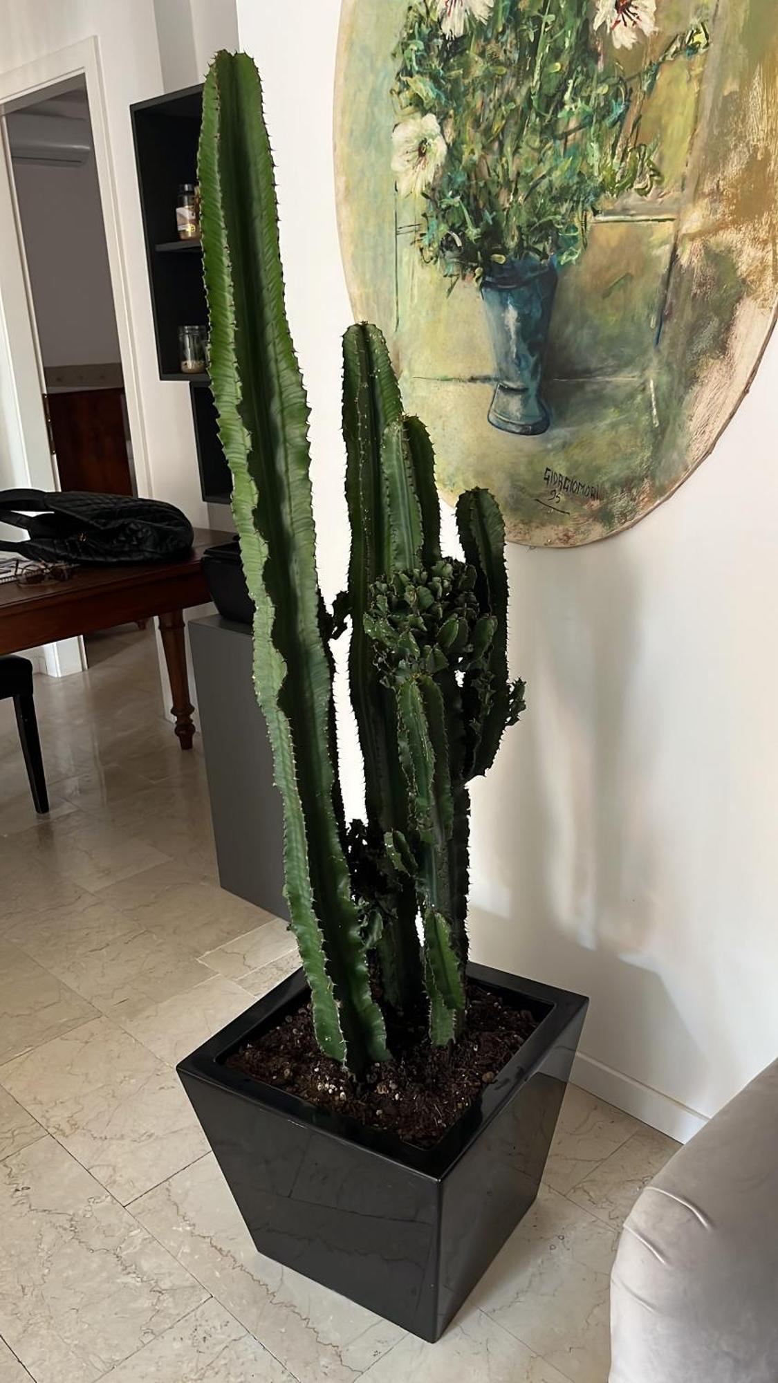 مبيت وإفطار فيرونا Fleur Blanche المظهر الخارجي الصورة
