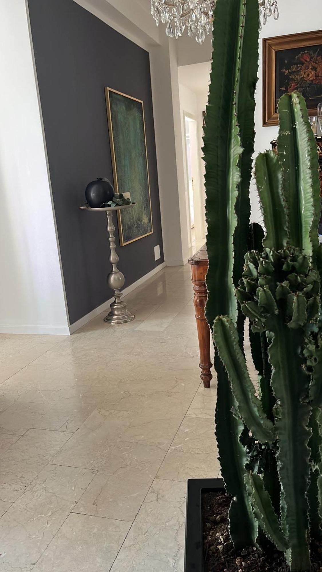 مبيت وإفطار فيرونا Fleur Blanche المظهر الخارجي الصورة